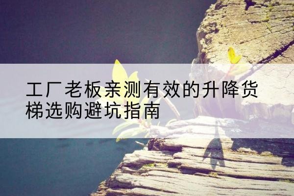 玉门升降货梯怎么选-工厂老板亲测有效的升降货梯选购避坑指南