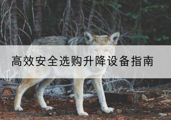 玉门升降货梯厂家推荐-*安全选购升降设备指南