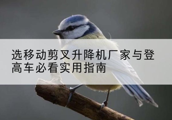 玉门电动升降机厂家-选移动剪叉升降机厂家与登高车必看实用指南